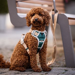 Dog & Dress, Home & Living merk in Duitsland