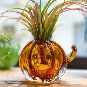 SBAMGLASS, Haus & Wohnen Marke in Italien