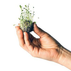 Bridepalla, Schreibwaren Marke in Spanien