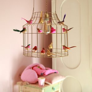 DUTCH DILIGHT, Kids & Baby merk in Nederland