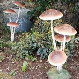 Steen Outdoor, Home & Living merk in Nederland