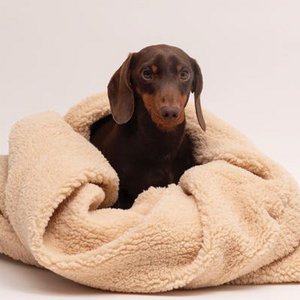 Trimmi, Home & Living merk in Nederland