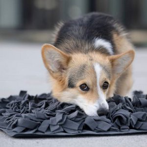 WOOFSTUFF - SHOP FOR DOGS, Home & Living merk in Duitsland