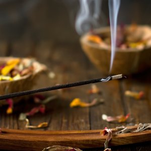 Green Tree Candle, Home & Living brand in Netherlands