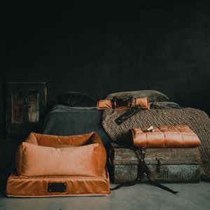 Fluffy Puppy, Mode Marke in Polen