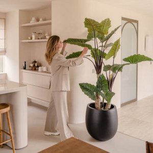 Greenmoods, Home & Living merk in Nederland