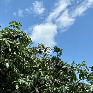 TRUPPI, Food & Beverages brand in Portugal