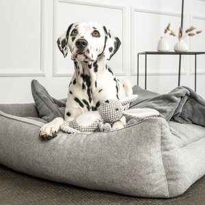MOUNTAINDOG, Haus & Wohnen Marke in Deutschland