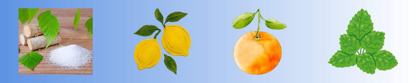 Minttu Caramelos 100% de Xilitol