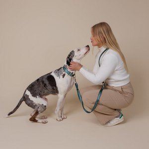 Minla brand in Italy