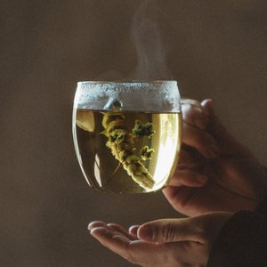 Lemon Poppy TEA, Food & Beverages brand in Netherlands