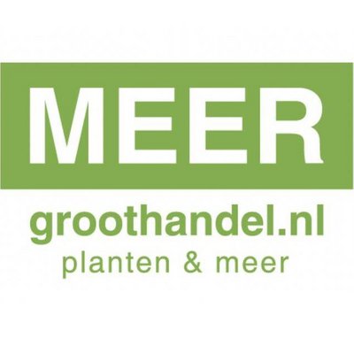 MEERgroothandel Planten