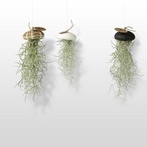 JP deco (Juffrouw Pannenkoek deco), Home & Living merk in Nederland